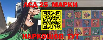 крисы Славгород