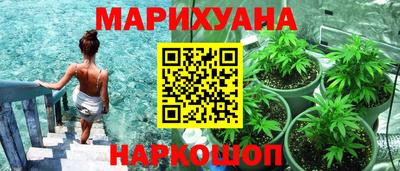 крисы Славгород