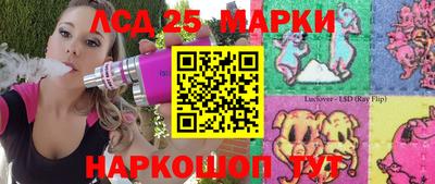 крисы Славгород