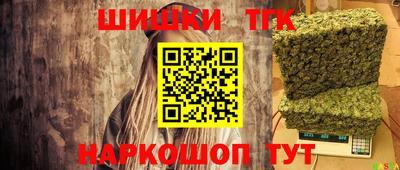крисы Славгород
