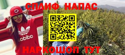 таблы Сланцы