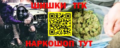 крисы Славгород