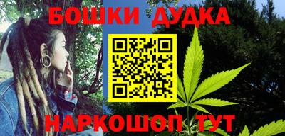 крисы Славгород