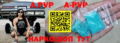 крисы Славгород
