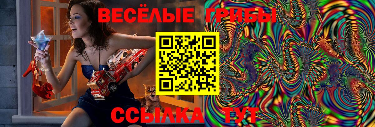 Псилоцибиновые грибы ЛСД Озёры